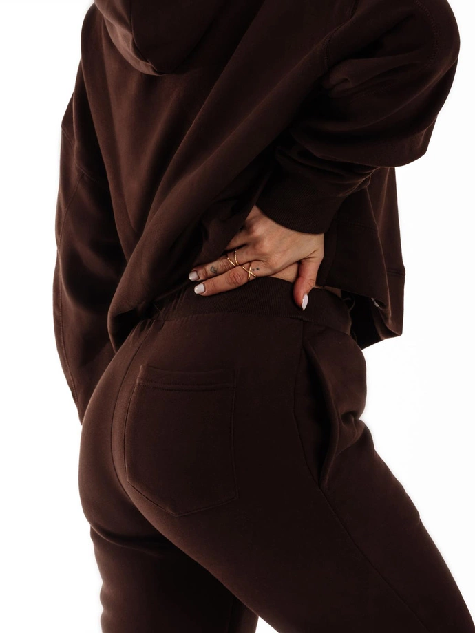 Dámská mikina s kapucí TLR044 - hnědá